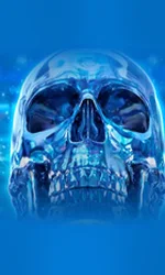 Crystal Skull
