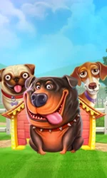 The Dog House